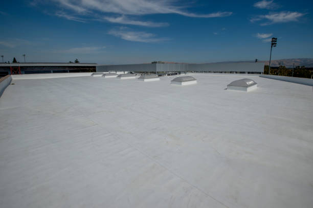Best Roof Moss and Algae Removal  in Chisago City, MN