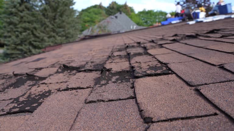 Best Commercial Roofing Services  in Chisago City, MN