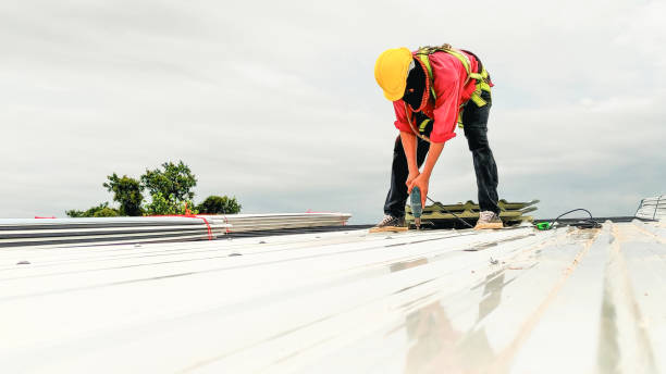 Best Roof Coating and Sealing  in Chisago City, MN