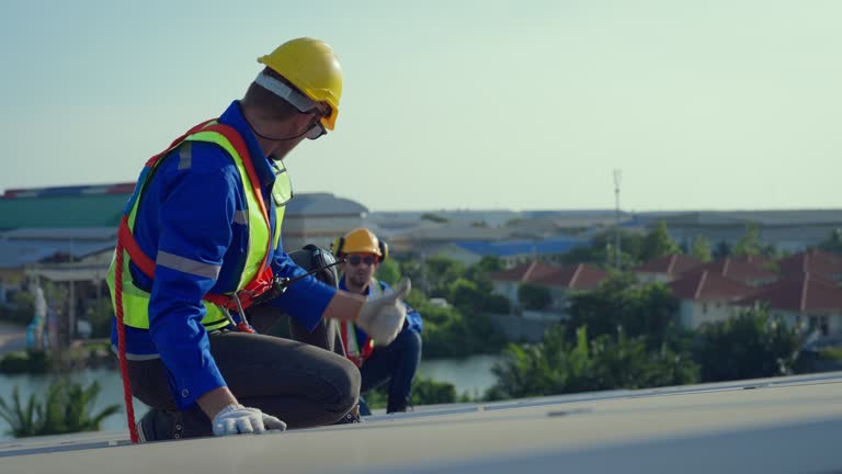 Best Roof Insulation Installation  in Chisago City, MN
