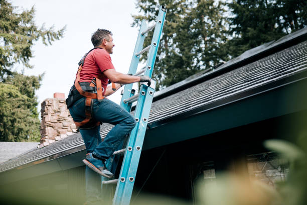 Best Gutter Installation and Repair  in Chisago City, MN