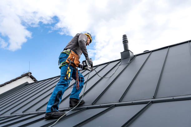 Best Chimney Flashing Repair  in Chisago City, MN