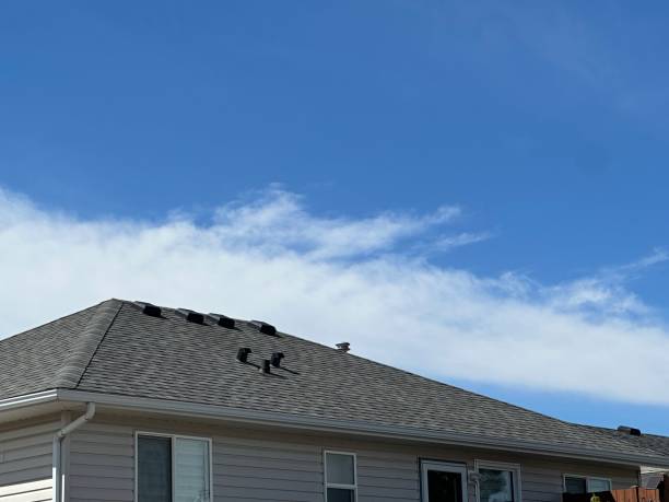 Best Roof Leak Repair  in Chisago City, MN