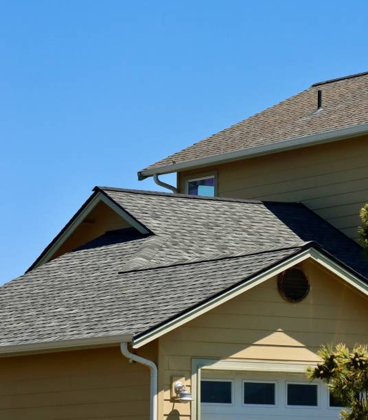 Best Skylight Installation and Repair  in Chisago City, MN